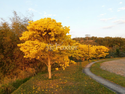 Image 8 - 993753