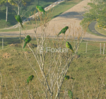 Image 3 - 993753