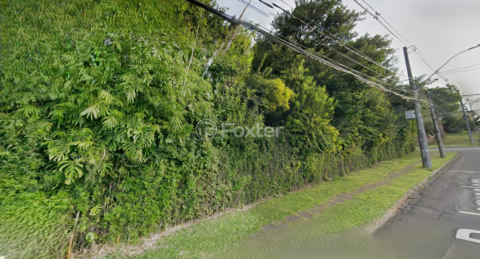 Image 3 - 993915