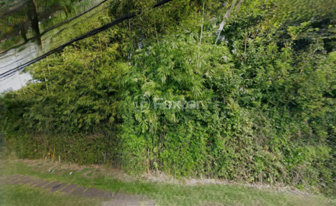Image 4 - 993915