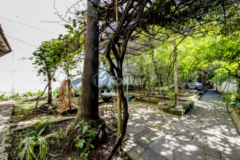 Image 25 - 994054