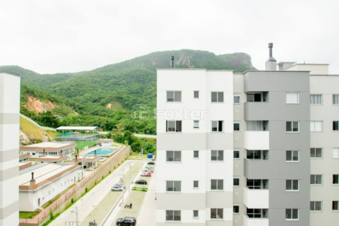 Image 35 - 994542
