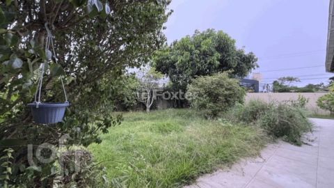 Image 10 - 994605