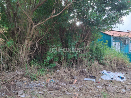 Image 8 - 994720