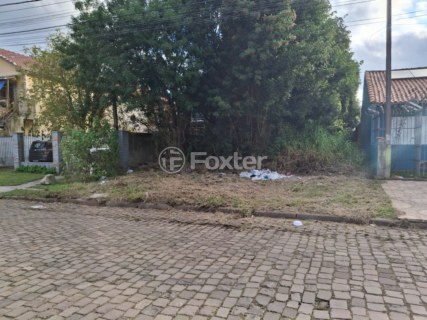 Image 4 - 994720