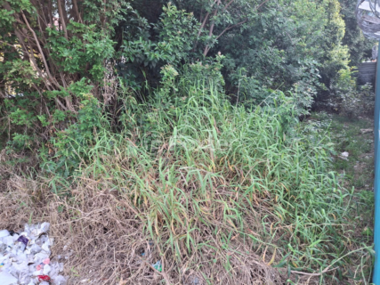 Image 3 - 994720