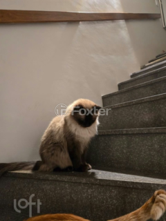 Image 9 - 995072