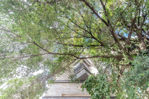 Image 3 - 995466