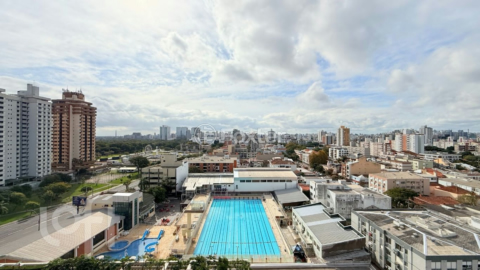 Image 16 - 995487