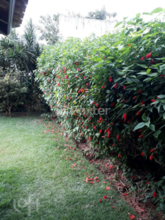 Image 36 - 995870