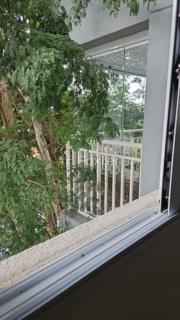 Image 11 - 995939