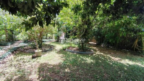 Image 18 - 996282