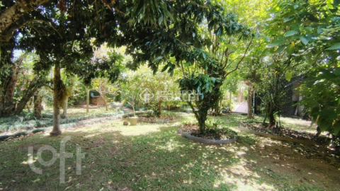Image 17 - 996282