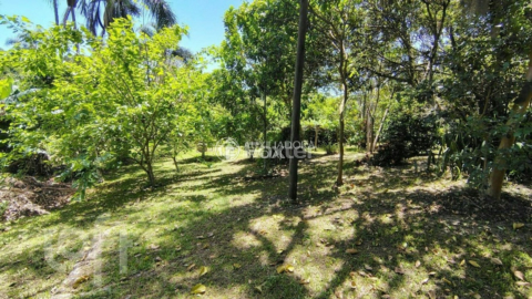 Image 16 - 996282