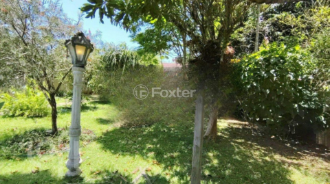 Image 21 - 996282