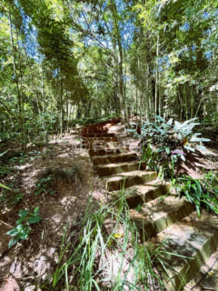 Image 33 - 996605