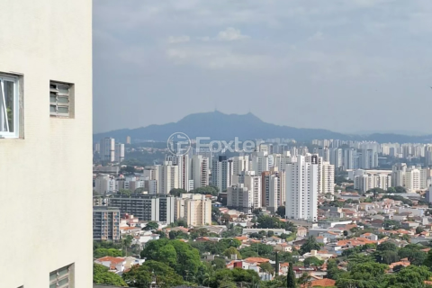 Image 16 - 996672
