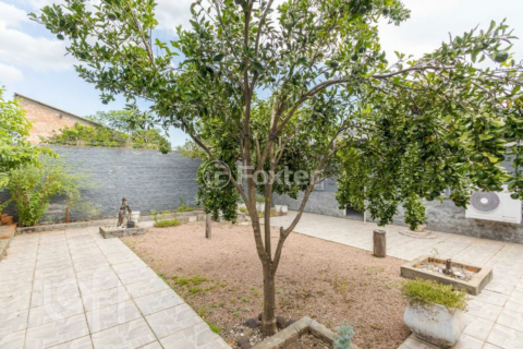 Image 24 - 996695