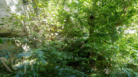 Image 27 - 996711