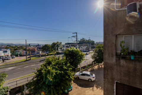 Image 7 - 996819