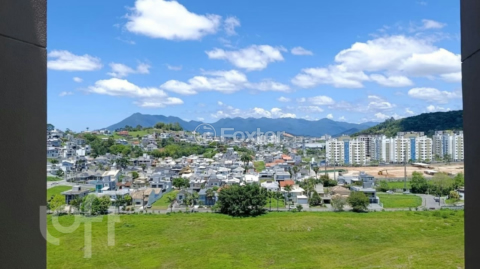 Image 6 - 997267