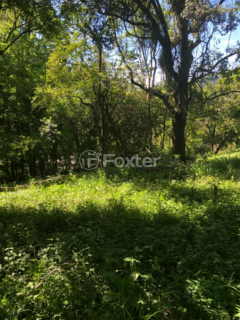 Image 3 - 997691