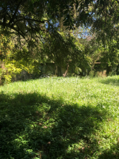 Image 2 - 997691