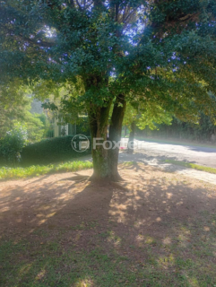 Image 10 - 997720