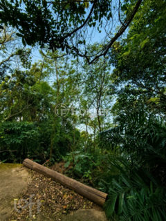 Image 20 - 998042