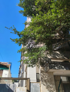 Image 32 - 998371