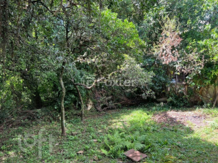 Image 5 - 998373