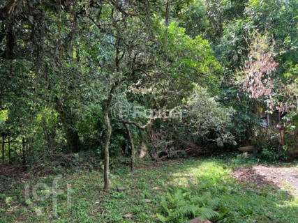Image 4 - 998373