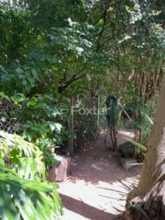 Image 43 - 998626