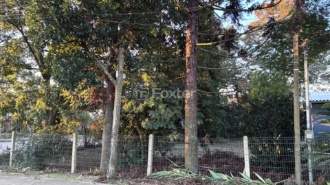 Image 31 - 998782