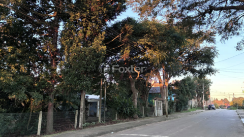 Image 33 - 998782
