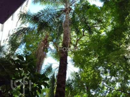 Image 23 - 998828
