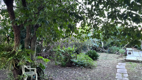 Image 4 - 999093