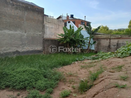 Image 4 - 999231