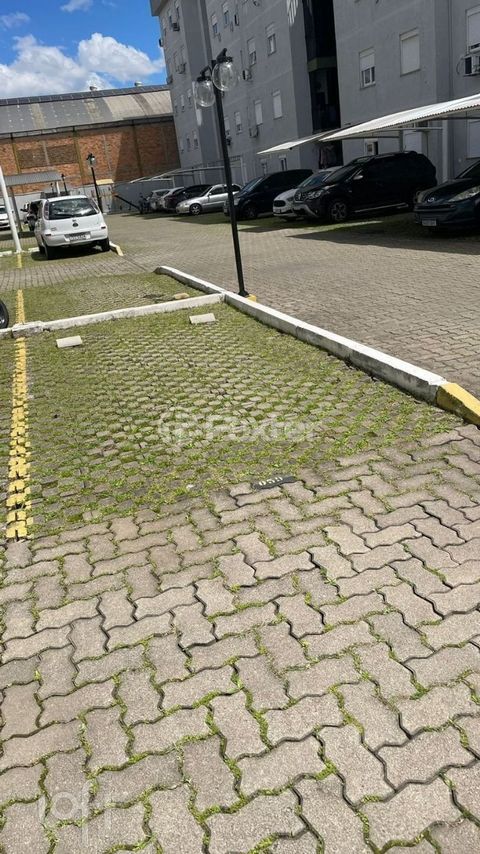 Image 7 - 999781