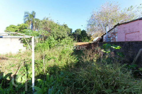 Image 4 - 999841