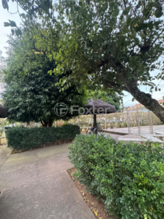 Image 21 - 999909