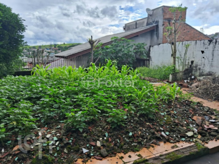 Image 1 - 999951