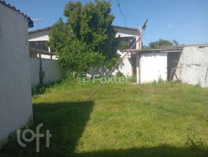 Image 7 - 999964